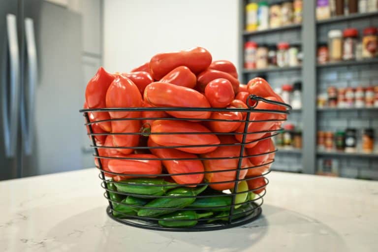 新鲜的西红柿和辣椒丝篮子,最好11冰箱篮子[公司。电线和塑料)