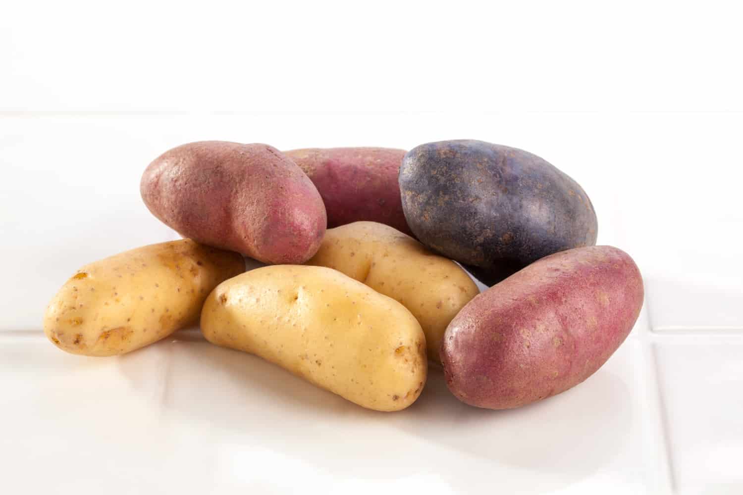 一群五彩缤纷的土豆(6盎司)。