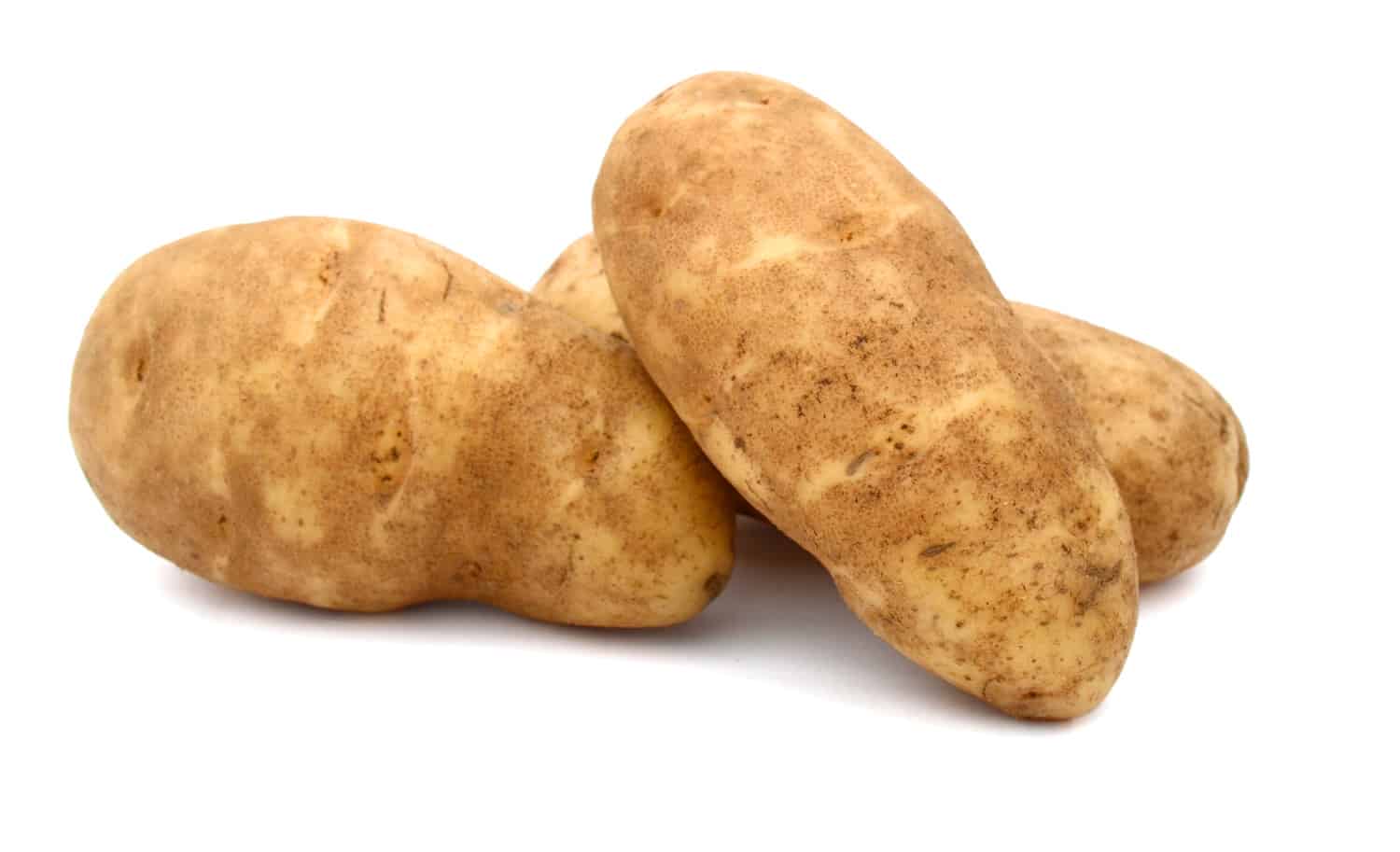 黄褐色马铃薯(爱达荷马铃薯)