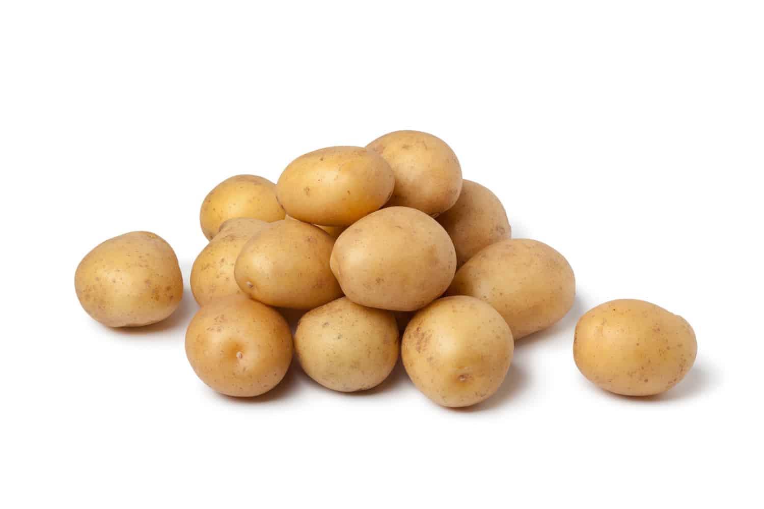 小新土豆在白色背景