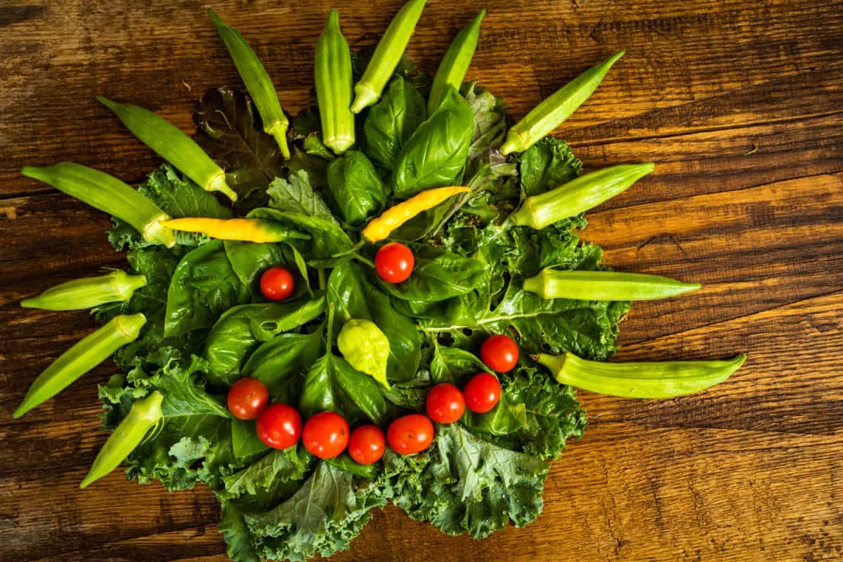 新鲜采摘的自家种植的有机蔬菜摆放在木板上，看起来像一张快乐的脸。
