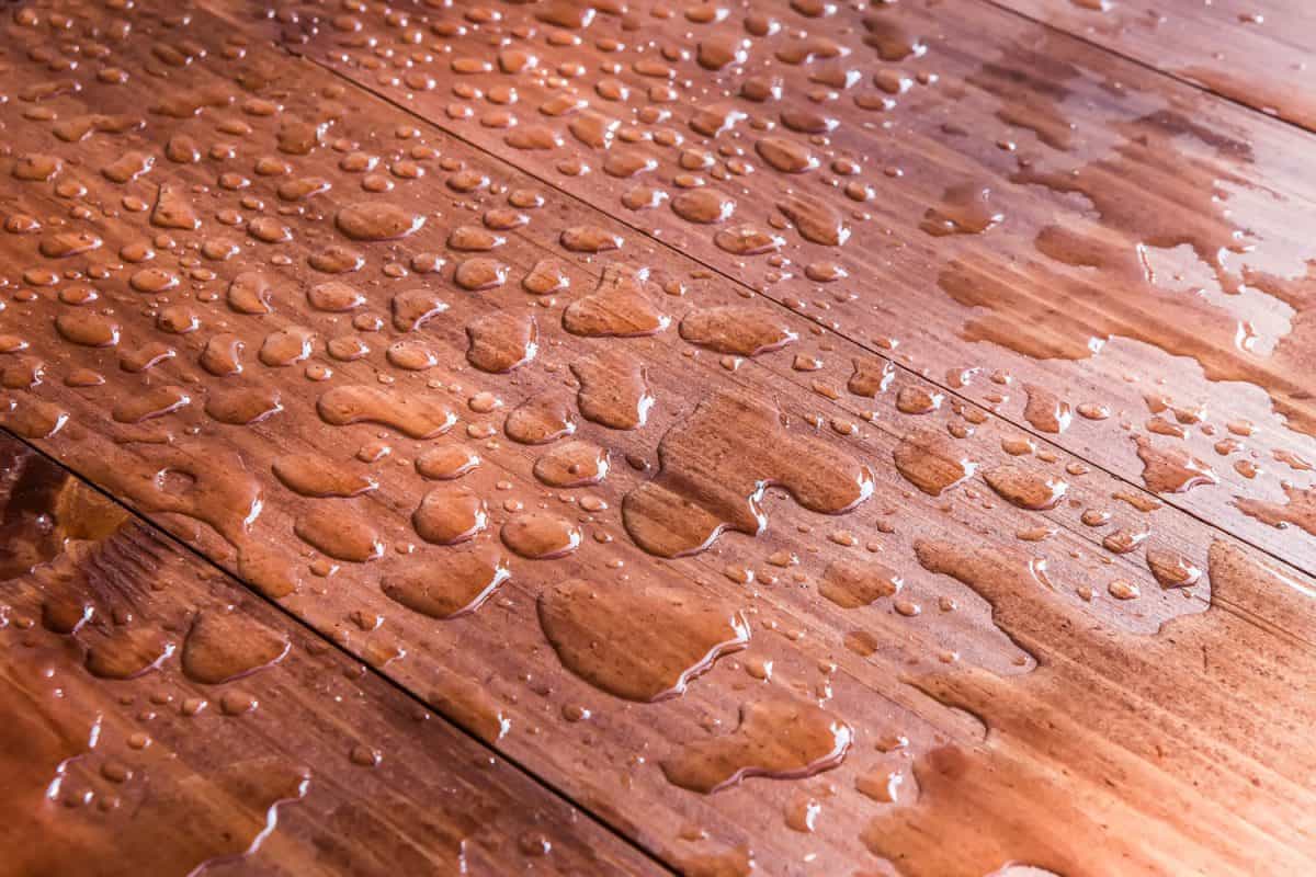 防水的厨房硬木地板bd综合体育官网 发型bd手机下载