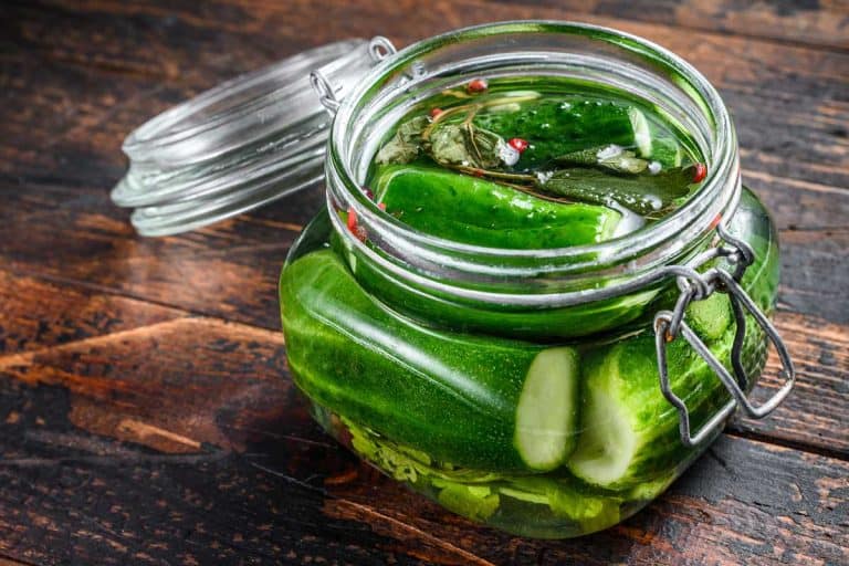绿色玻璃罐腌黄瓜,如何盐水黄瓜泡菜的6个简单的步骤