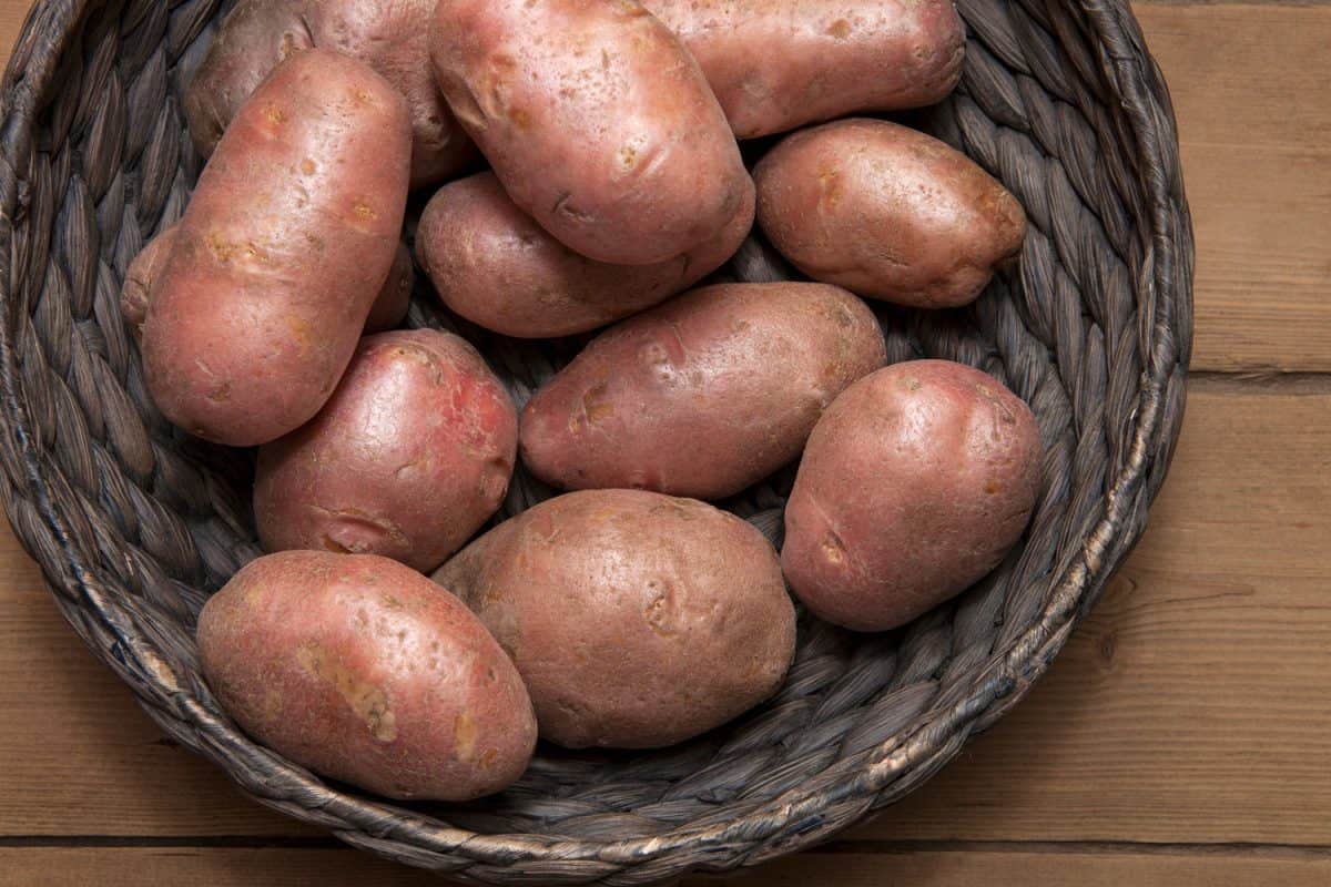 红薯放在桌子上一个深色的篮子里，红薯能放多久?