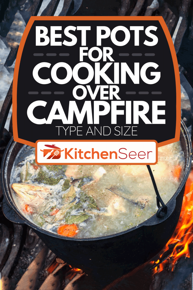 在篝火上的锅里煮鱼汤，最好的锅在篝火上煮-类型和大小