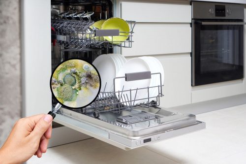阅读更多关于如何清除洗碗机中的霉菌的文章