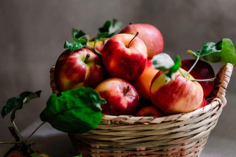 新鲜采摘红苹果从苹果树在柳条篮子,你应该洗苹果之前存储?