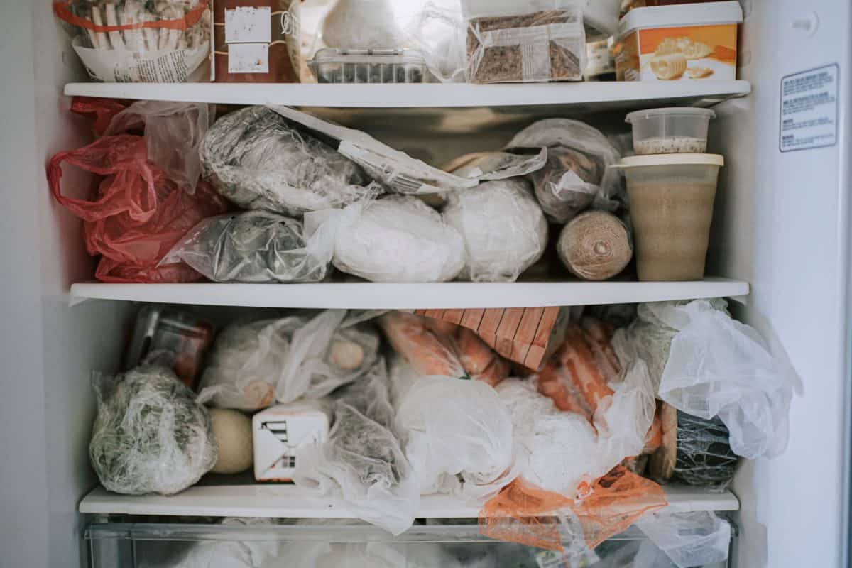 蔬菜和其他烹饪必需品放在冰箱冷冻室里