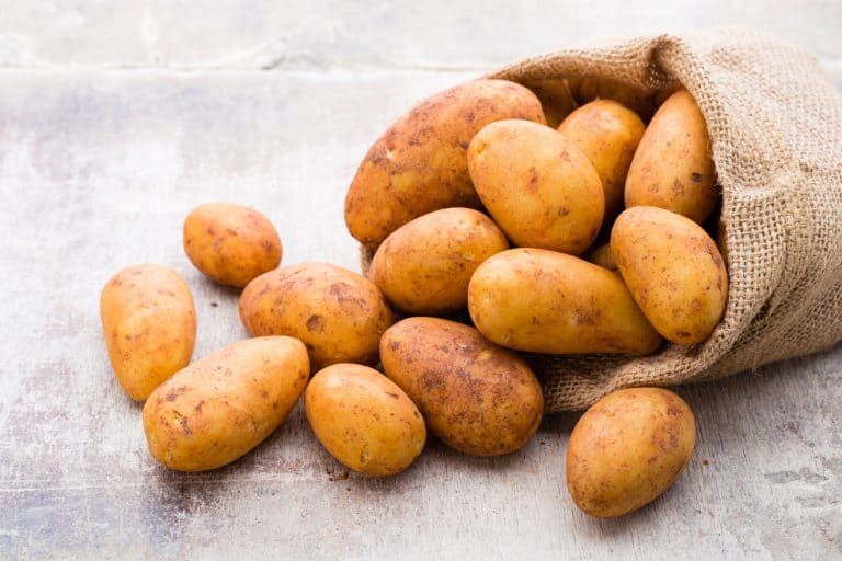 生物黄褐色马铃薯木的背景,土豆是土豆煎饼最好?