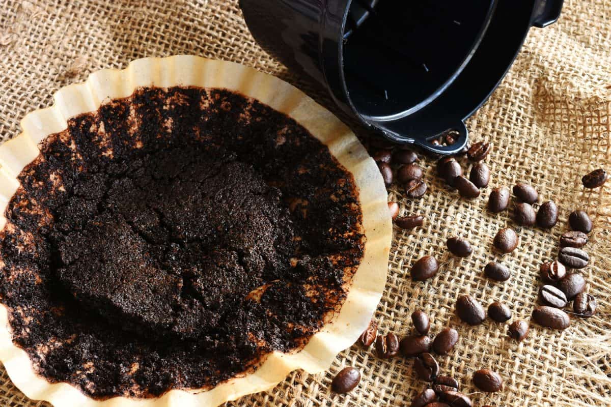 咖啡过滤器用于应变咖啡粒咖啡豆