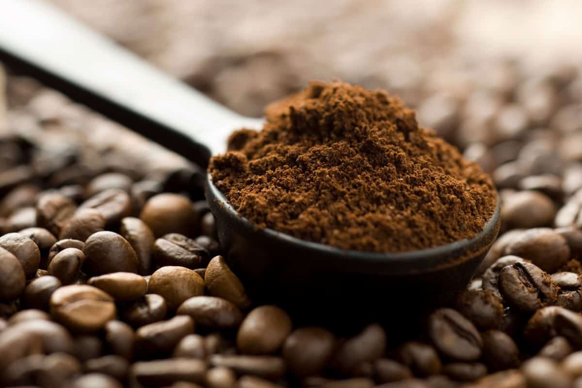 一个详细的地面咖啡豆的照片