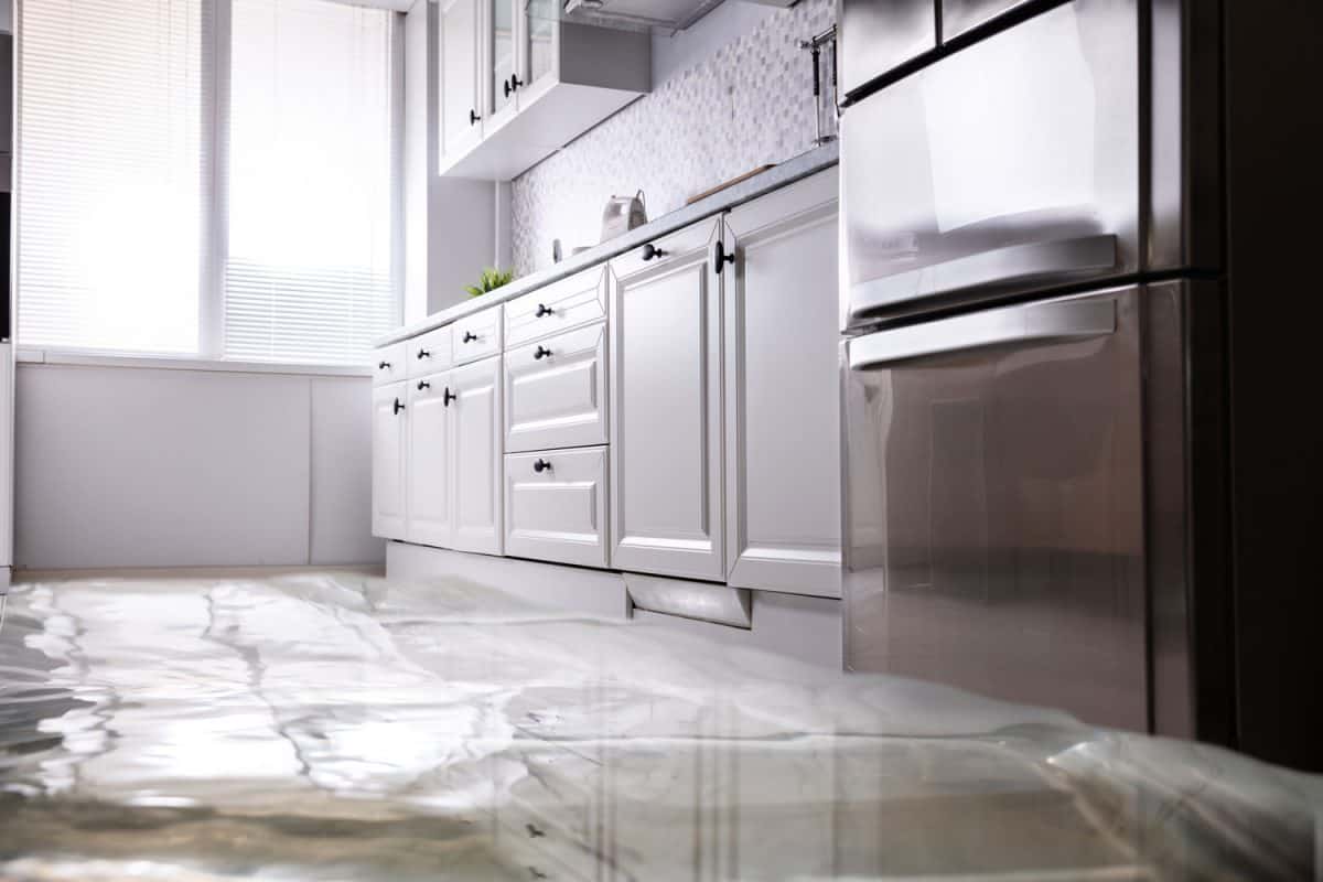 现代化的厨房，白色bd手机下载橱柜，花岗岩地板和深灰色的冰箱