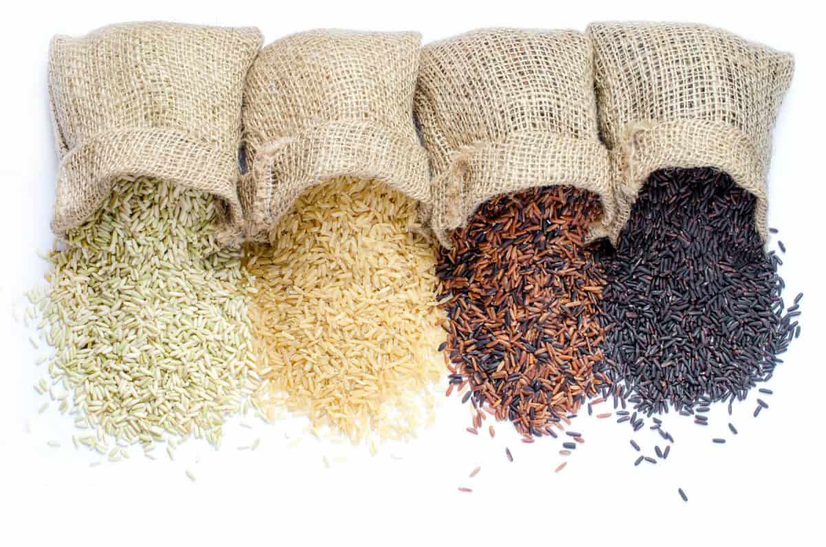 四种干燥有机稻种，袋装白色底色，为碳水化合物或健康食品成分或农产品概念