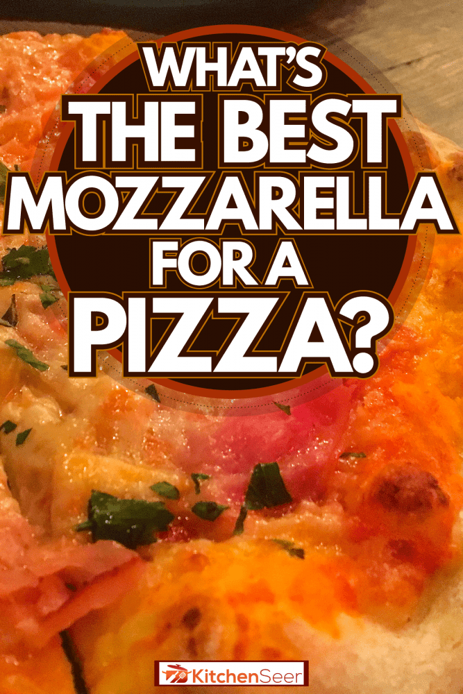 用葱和奶酪装饰的马苏里拉披萨，最适合做披萨的马苏里拉是什么?