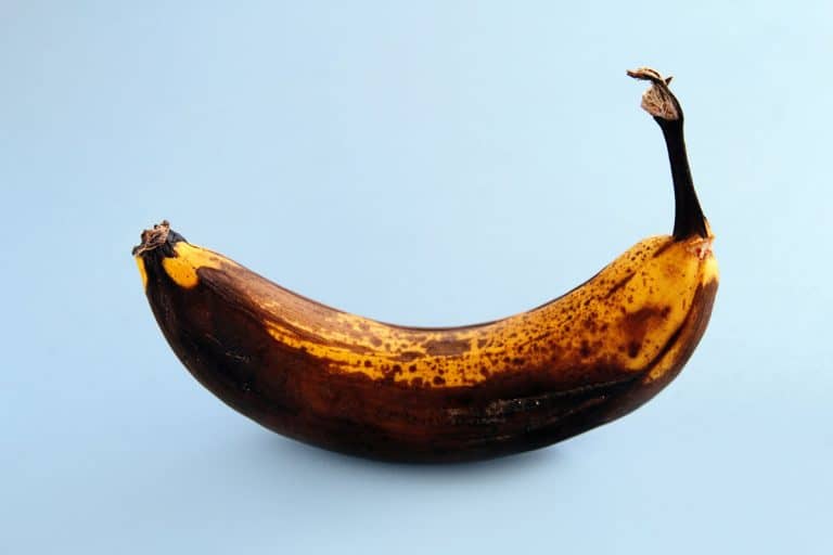 图像的一个孤立的腐烂的香蕉,是黑色的香蕉可以安全食用吗?