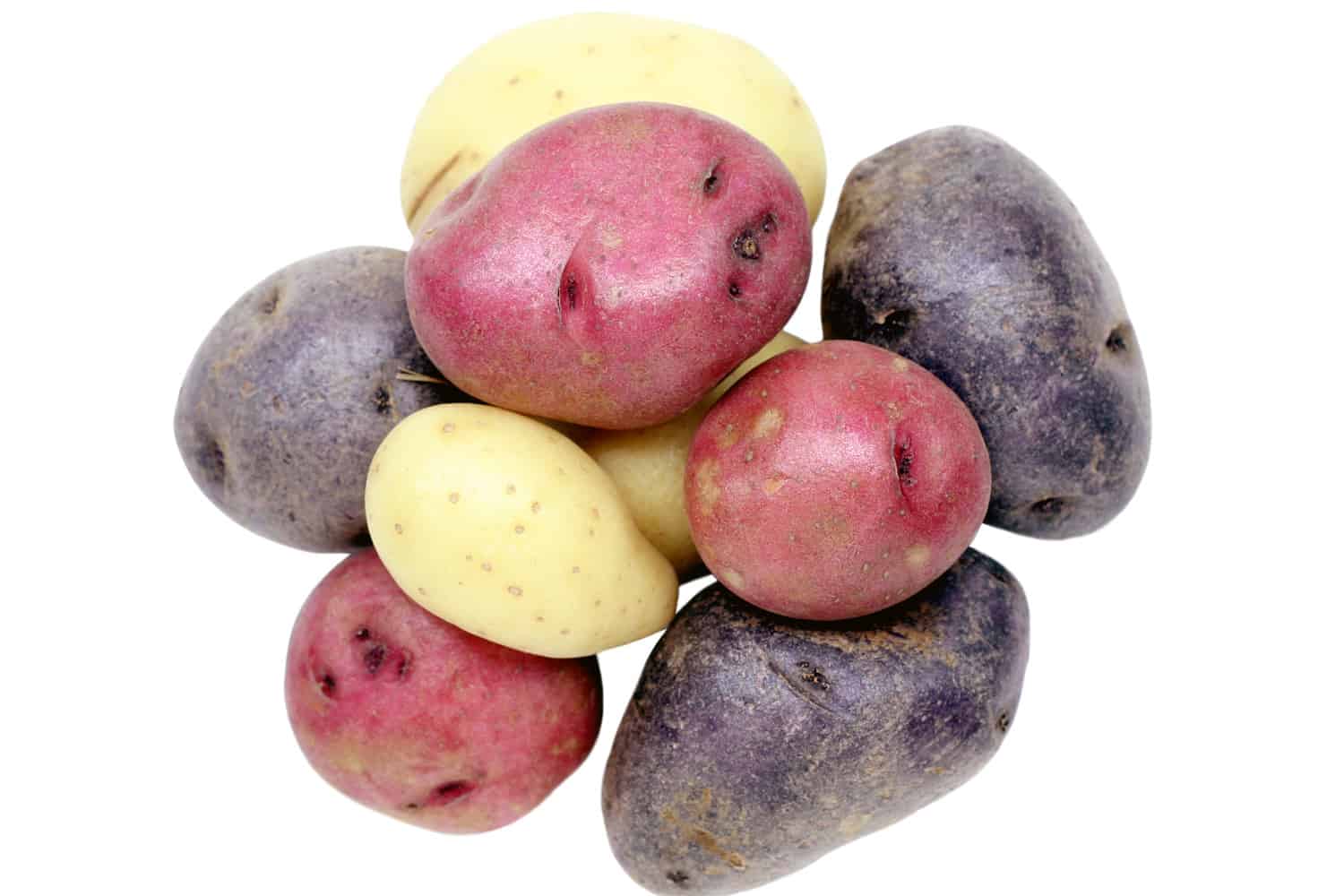 三种颜色的土豆。