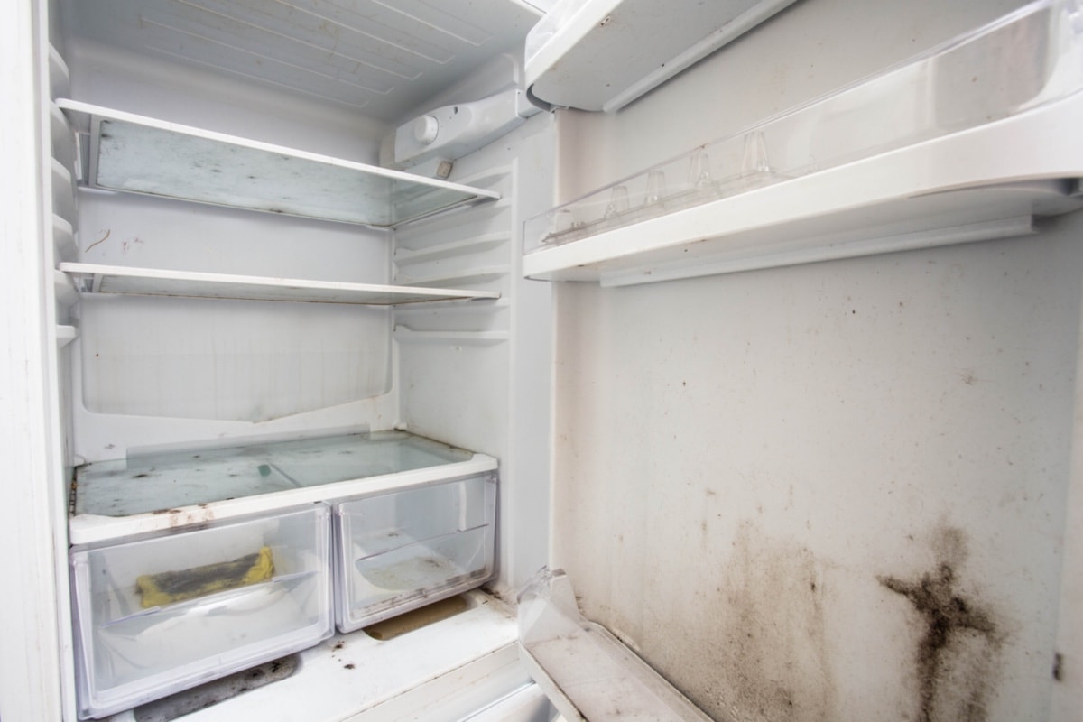 修补洞-旧的用过的有霉的脏冰箱，厨房里的旧垃圾bd手机下载
