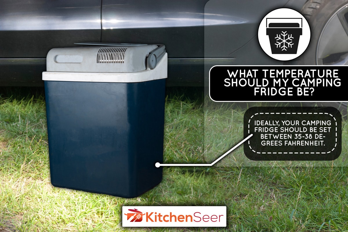 草地上的电动汽车冰箱，在露营地的电动汽车旁边，我的野营冰箱应该是什么温度?