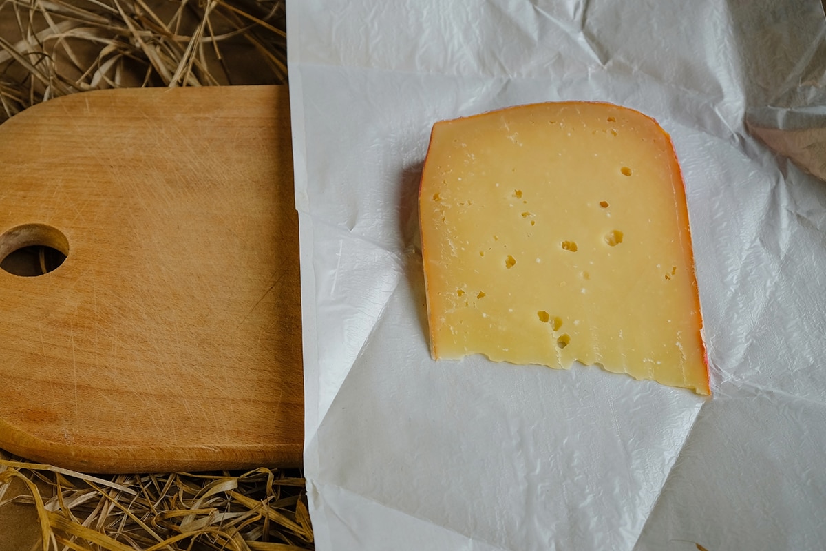 一块乳酪放在蜡纸上＂width=