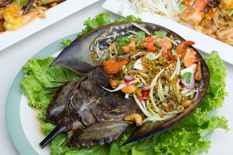 辣与生菜沙拉马蹄蟹蛋白色餐桌上的菜,你可以吃马蹄蟹吗?(建议&配方)