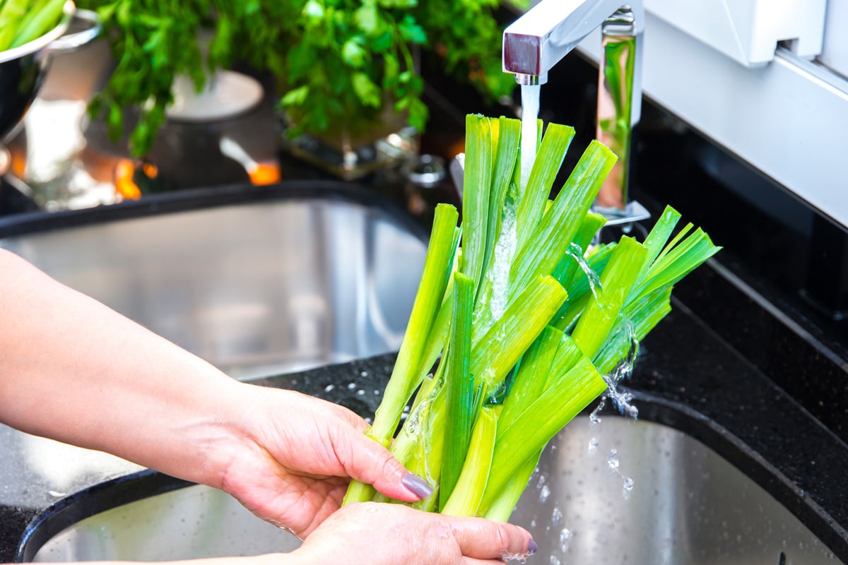 在水槽里洗韭菜，如何用韭菜做饭[14个伟大的食谱让你开始]