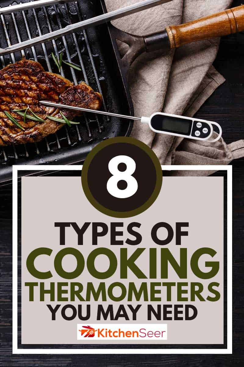 烤牛排Striploin在平底锅和肉温度计在黑色燃烧的木头背景，8种类型的烹饪温度计，你可能需要