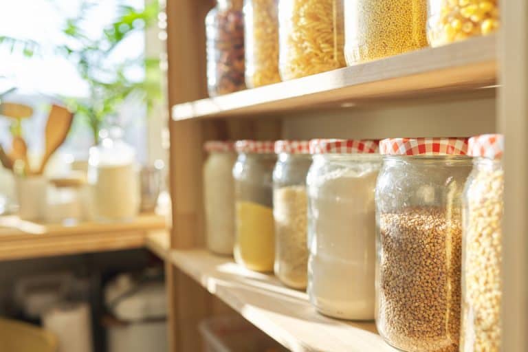 储藏室和jar充满不同的成分和香料烹饪,如何摆脱储藏室bug自然(5个关键提示)