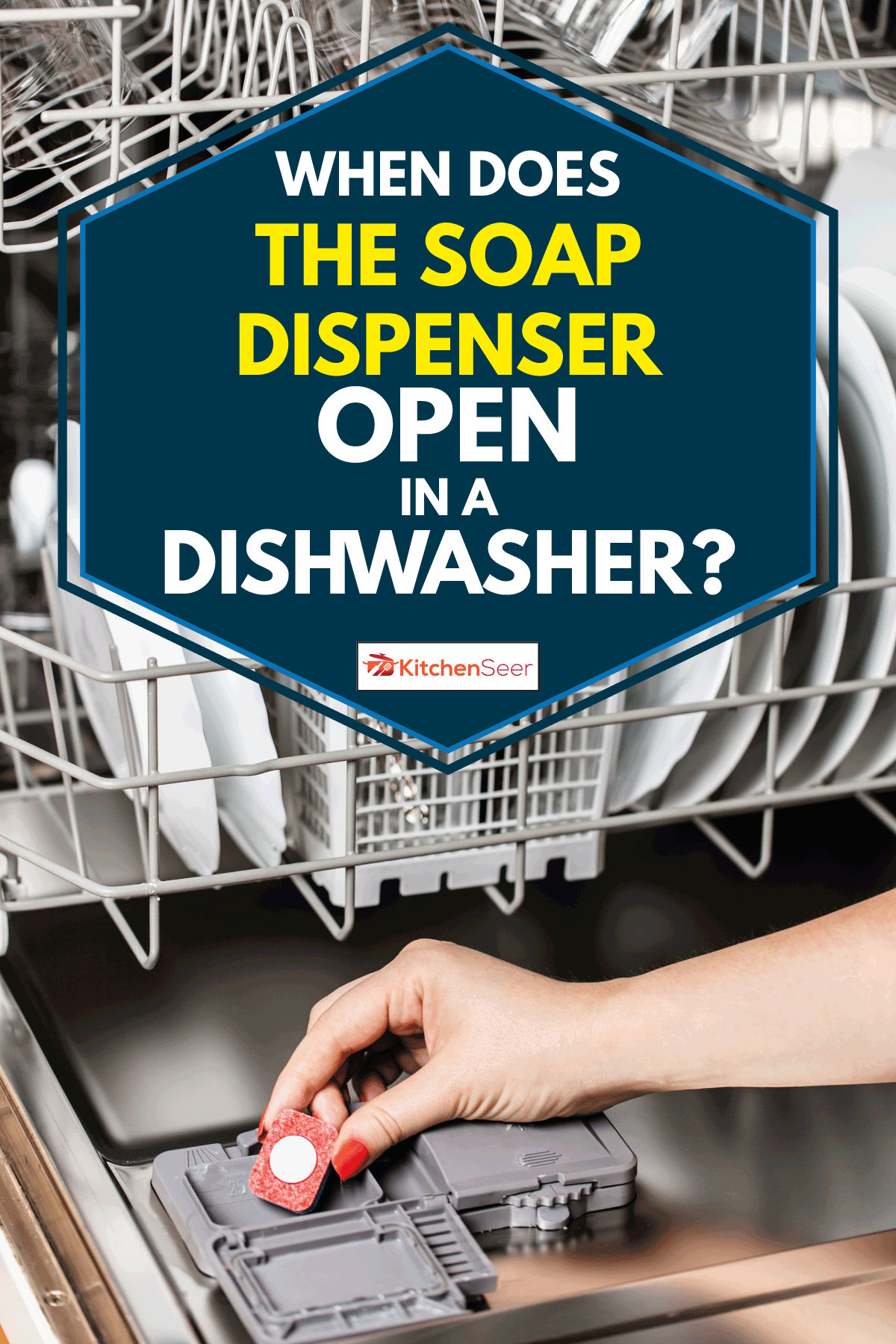女人的手拿着洗碗机肥皂片的特写镜头，肥皂分配器什么时候在洗碗机里打开?