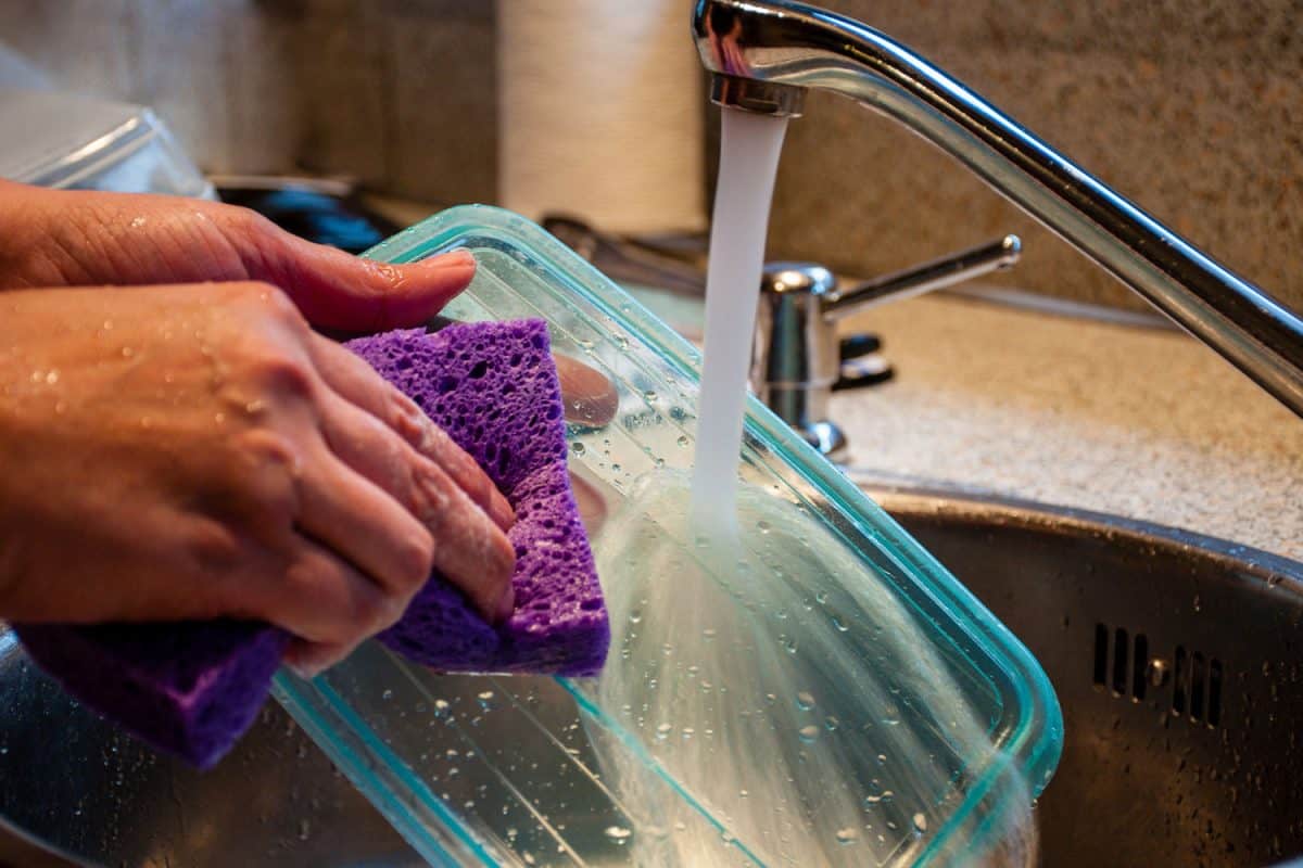 一名妇女在厨房水槽中用海绵清洗塑料食品储存容器。bd手机下载