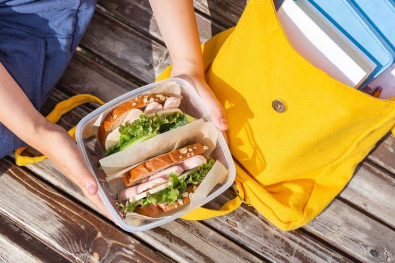 午餐盒在一个孩子的手中。三明治和面包,生菜,黄瓜和香肠在一个塑料容器,当你应该取代塑料食品容器吗?