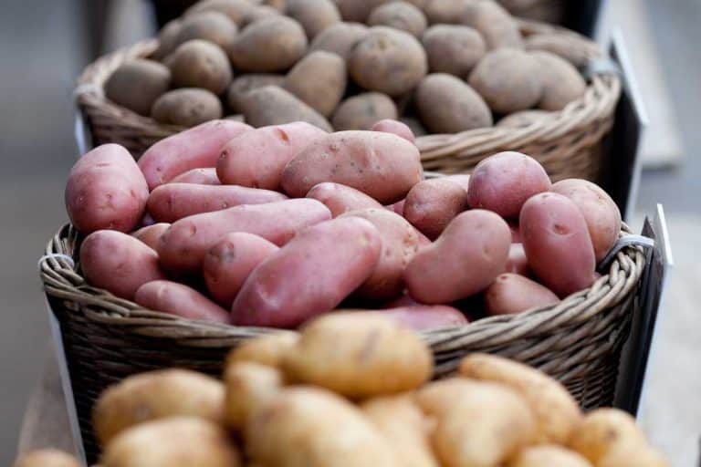 不同的土豆市场,什么是最好的土豆炖肉吗?