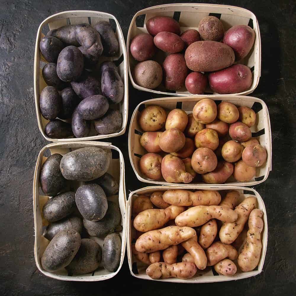生土豆的种类