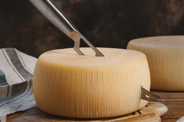 新鲜的自制奶酪放在木板上，用刀，你如何让奶酪不粘在刀上?