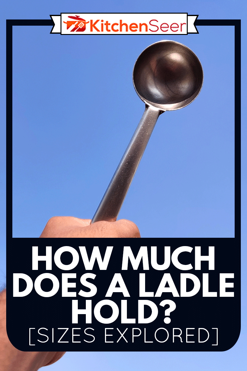 手拿着银laddle的男人。一种勺用于汤、炖肉、或其他食物,一个包多少钱?(大小探索)