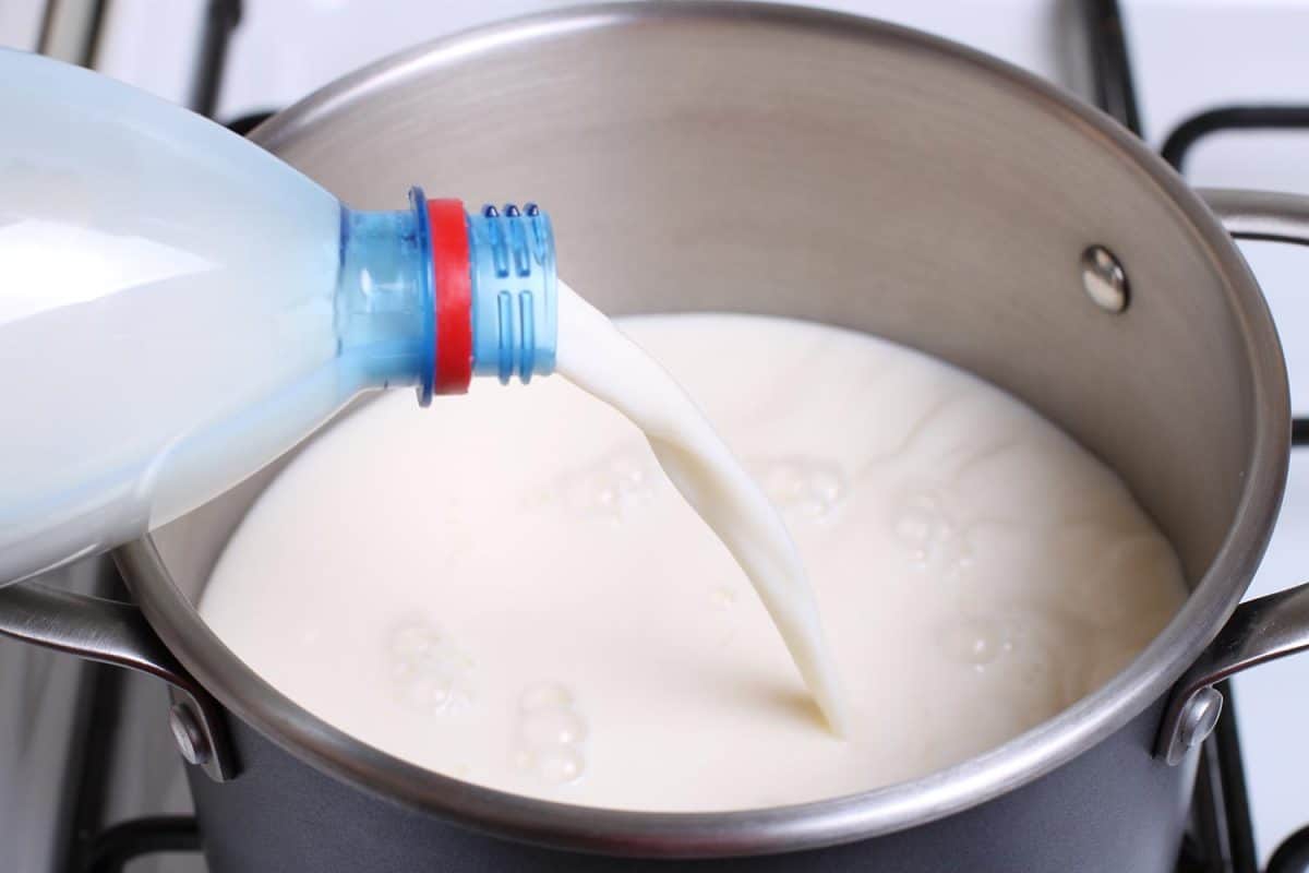 牛奶在炖锅里