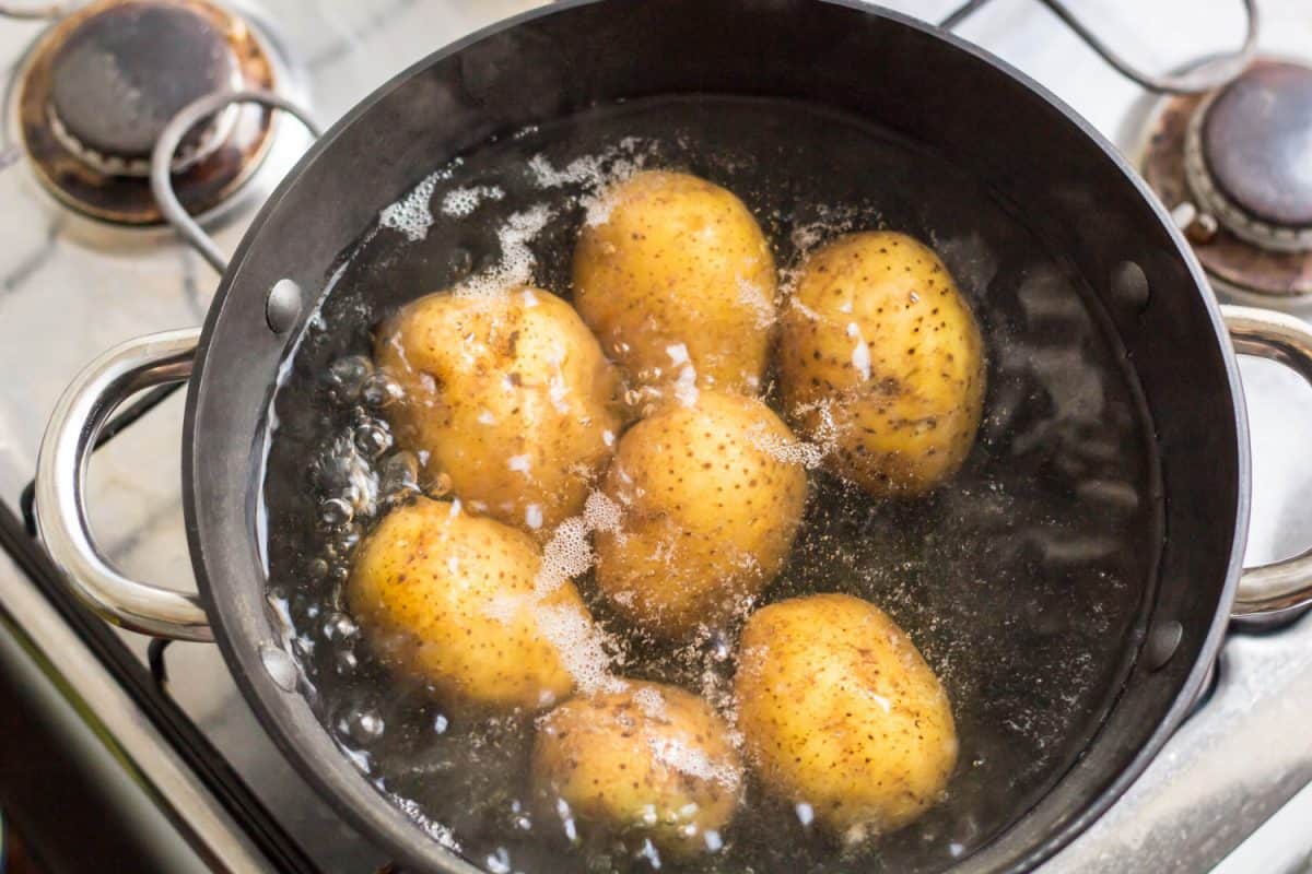 在煤气灶上的炖锅里煮土豆，煮土豆泥需要多长时间-按土豆的类型