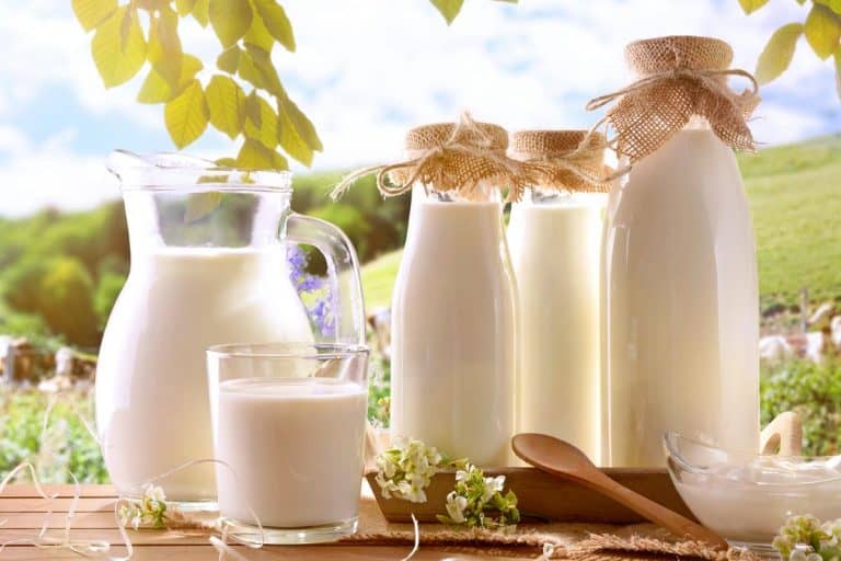 玻璃容器装满牛奶,什么是最好的容器来存储牛奶吗?