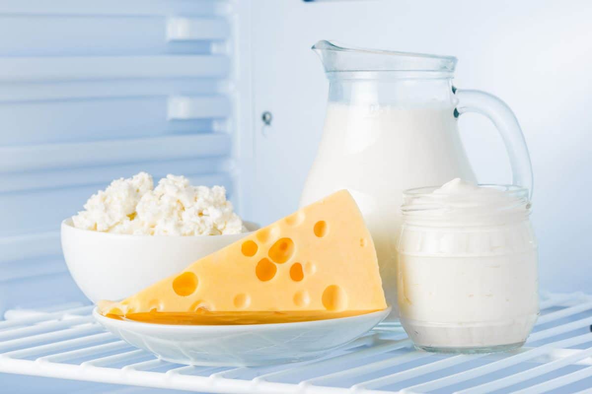 冰箱里美味健康的乳制品:银行里的酸奶油，碗里的松软干酪，罐子里的奶酪和牛奶，奶酪在冰箱里能放多久?