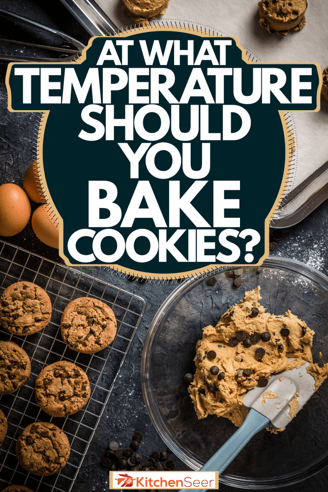 在厨房里塑造美味的巧克力片，你应该在什么温度烤饼干?bd手机下载