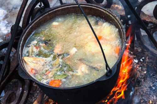 阅读更多关于文章最好的锅烹饪篝火-类型和大小