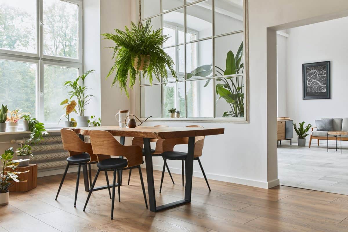 时尚和植物学的餐厅室内设计工艺木制桌子,点的植物和优雅的现代家半岛电竞体育平台app居装饰配件。