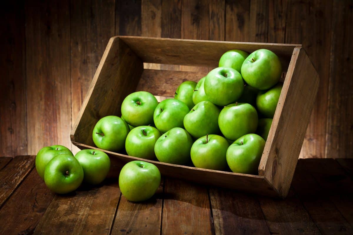 一个装满新收获的青苹果的木箱