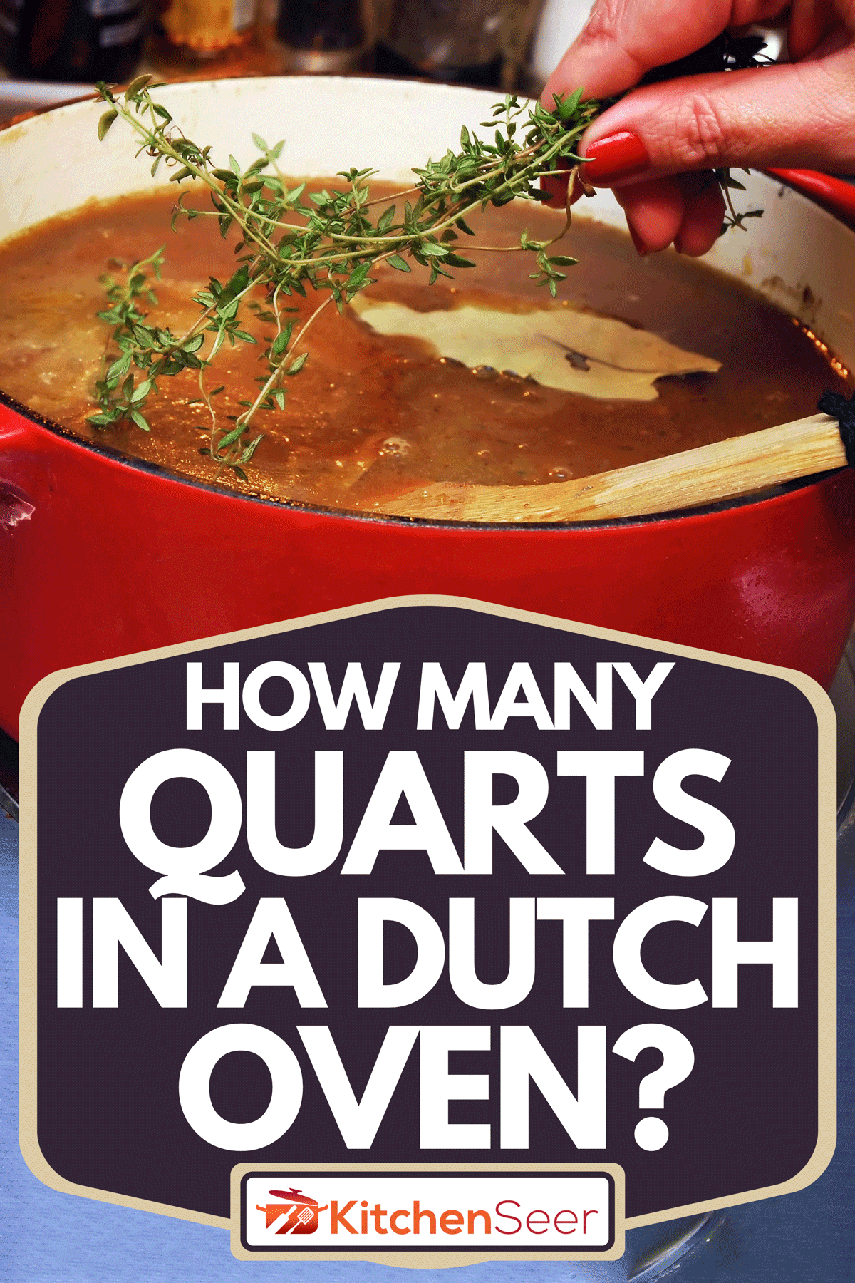 一个女人把一小枝百里香放在一锅法国洋葱汤里，荷兰烤箱里有多少夸脱?