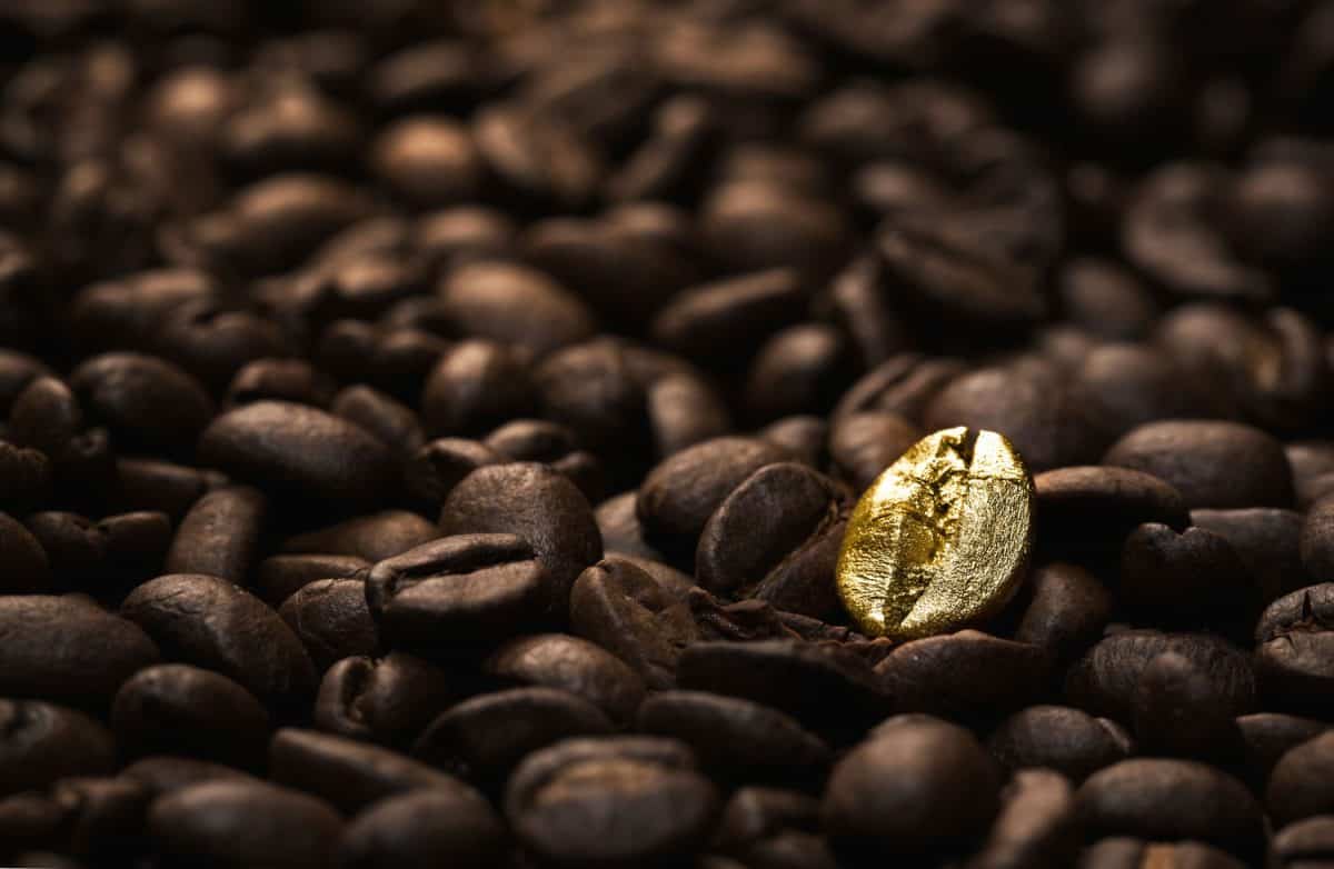 个性,站在一群概念,关闭一个明亮,黄金在许多黑暗的咖啡豆