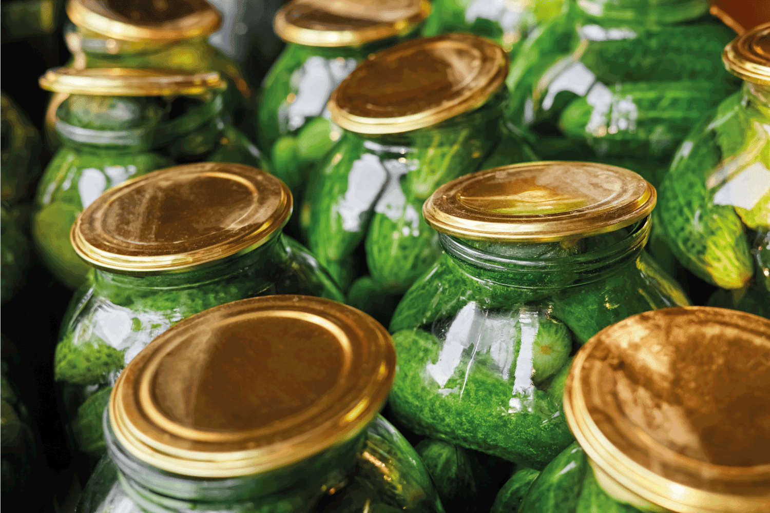 在玻璃罐中保存新鲜的家庭黄瓜