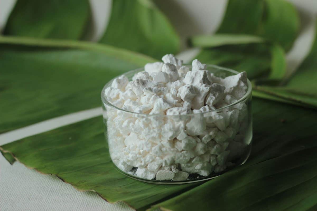 一种不含麸质和谷物的粉末，由一种从一种叫做马兰塔的植物中提取的淀粉物质制成。