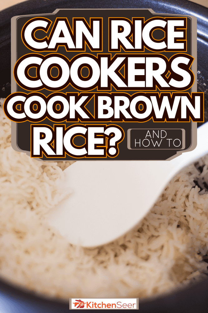 充满新鲜的电饭煲煮熟的米饭,电饭煲煮糙米吗?(以及如何)
