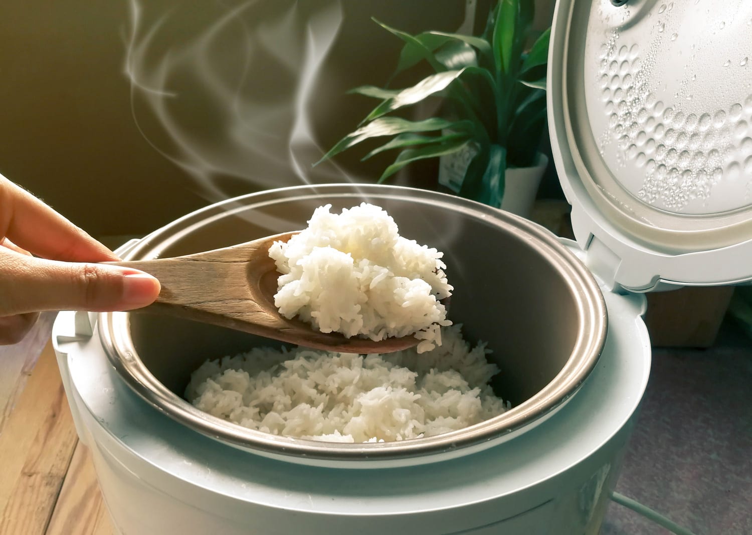 茉莉花大米做饭与蒸汽电饭锅。