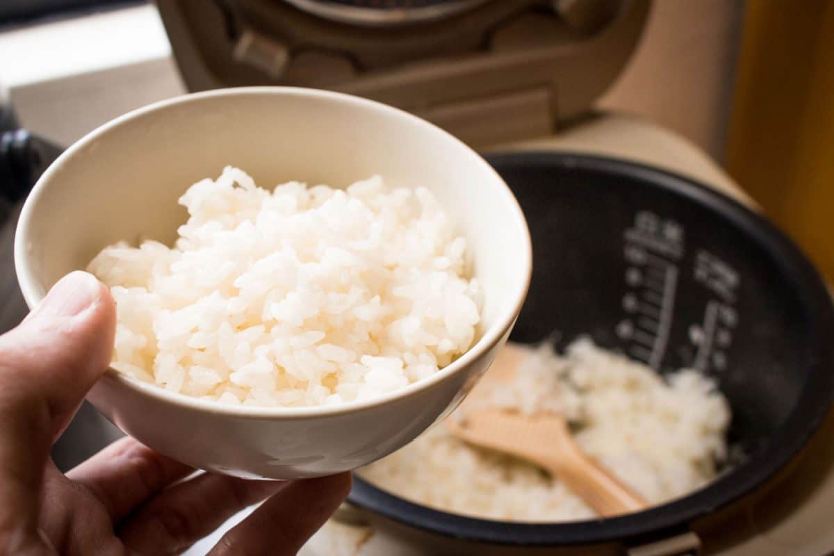 女人从米饭一碗米饭