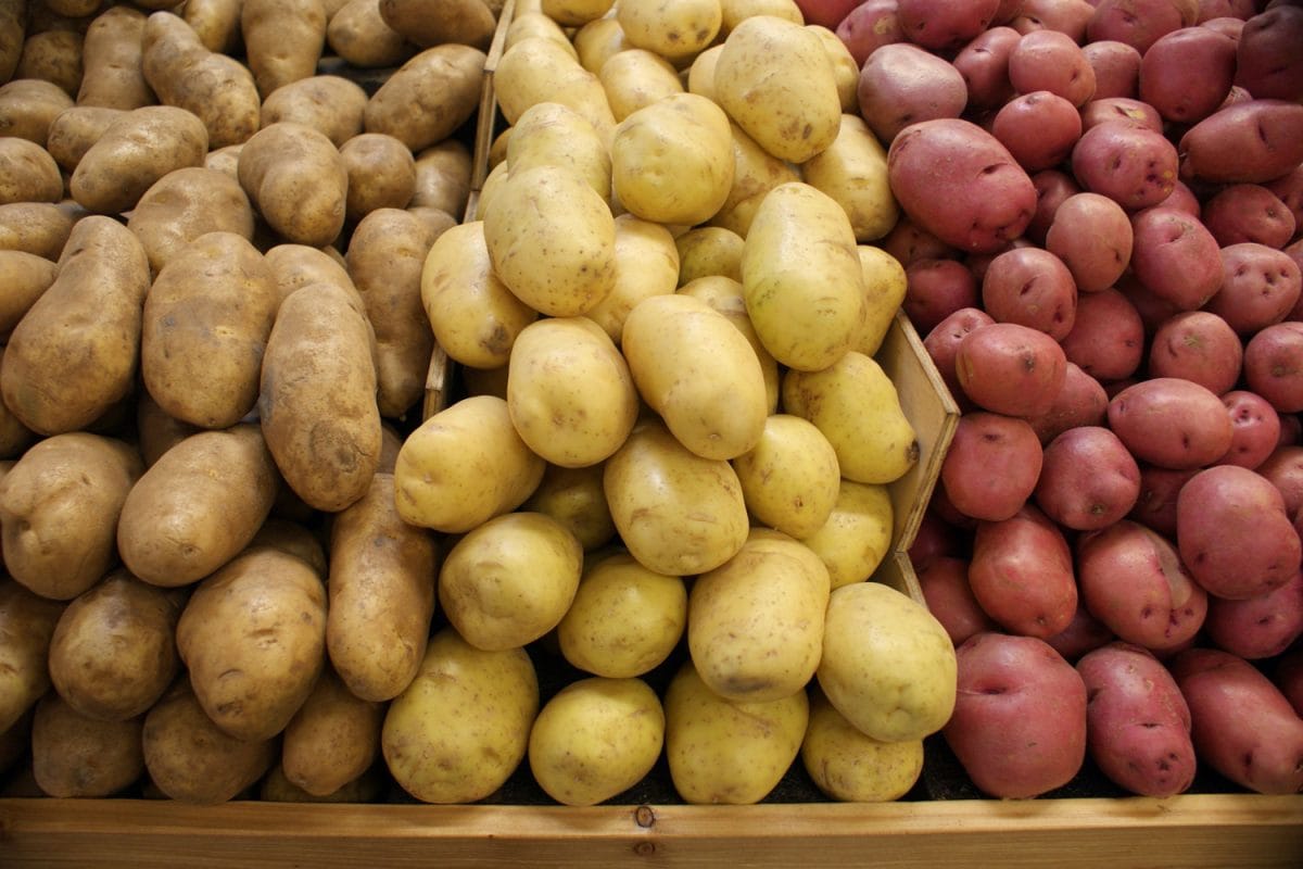 市场上陈列着不同种类的土豆